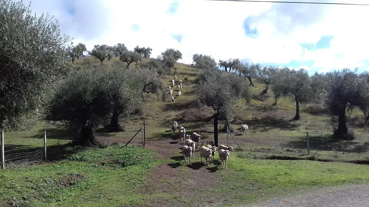 Pensión Finca la Carnicera Constantina