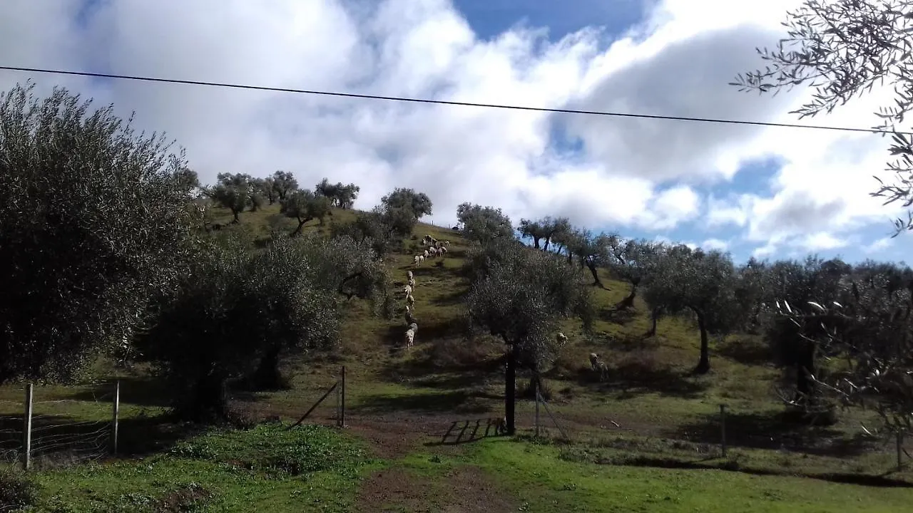 Guest house Finca La Carnicera Constantina