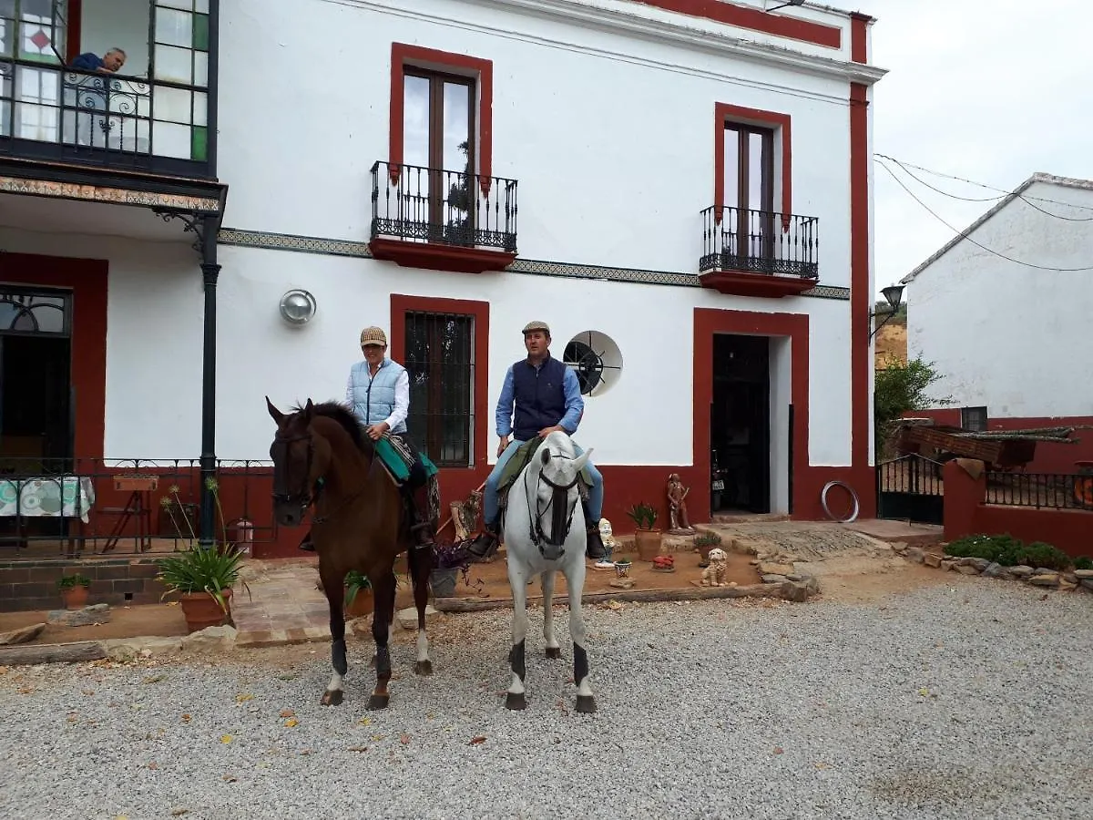 Finca La Carnicera Constantina Spain
