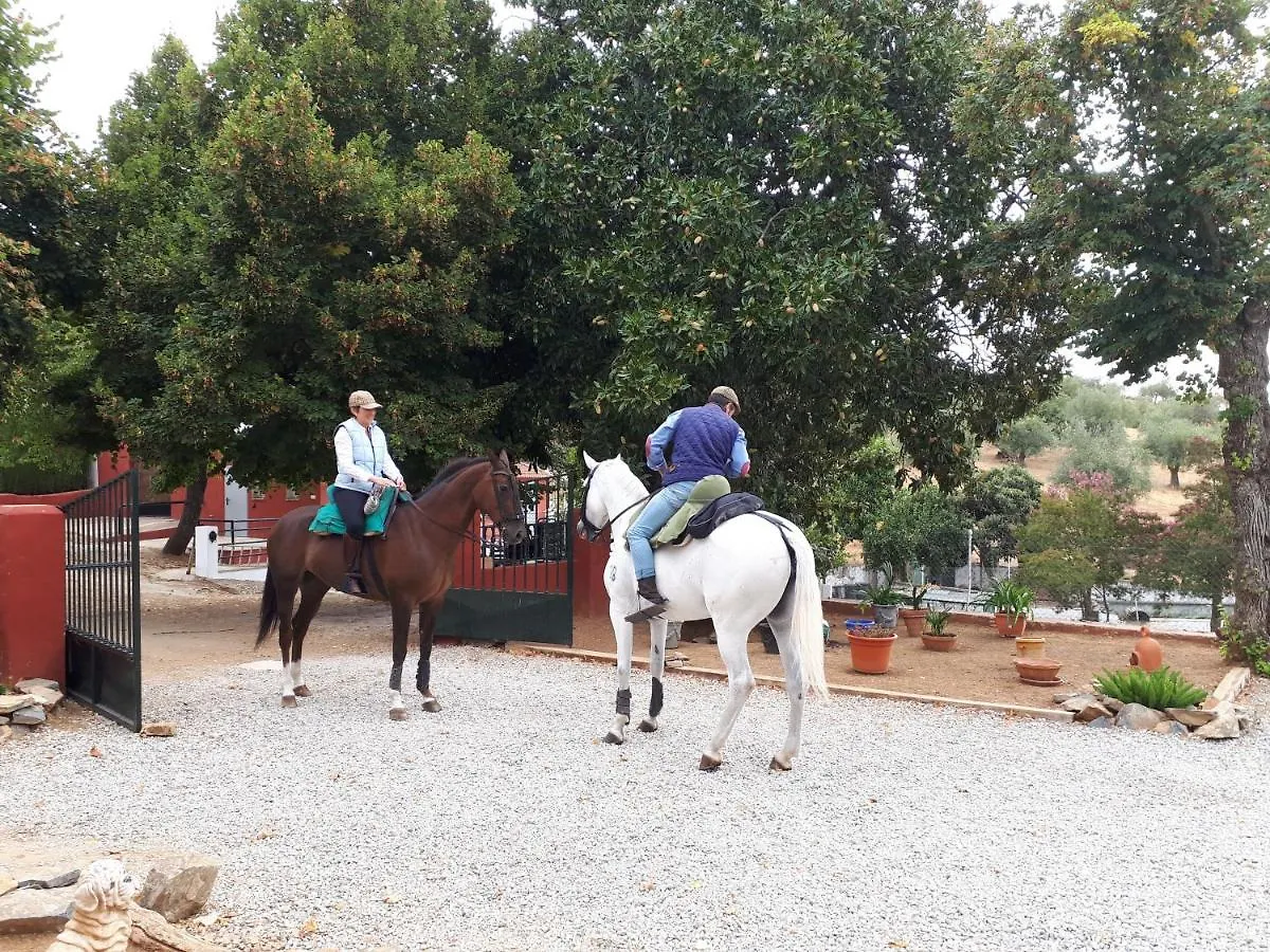 Finca La Carnicera Constantina Guest house
